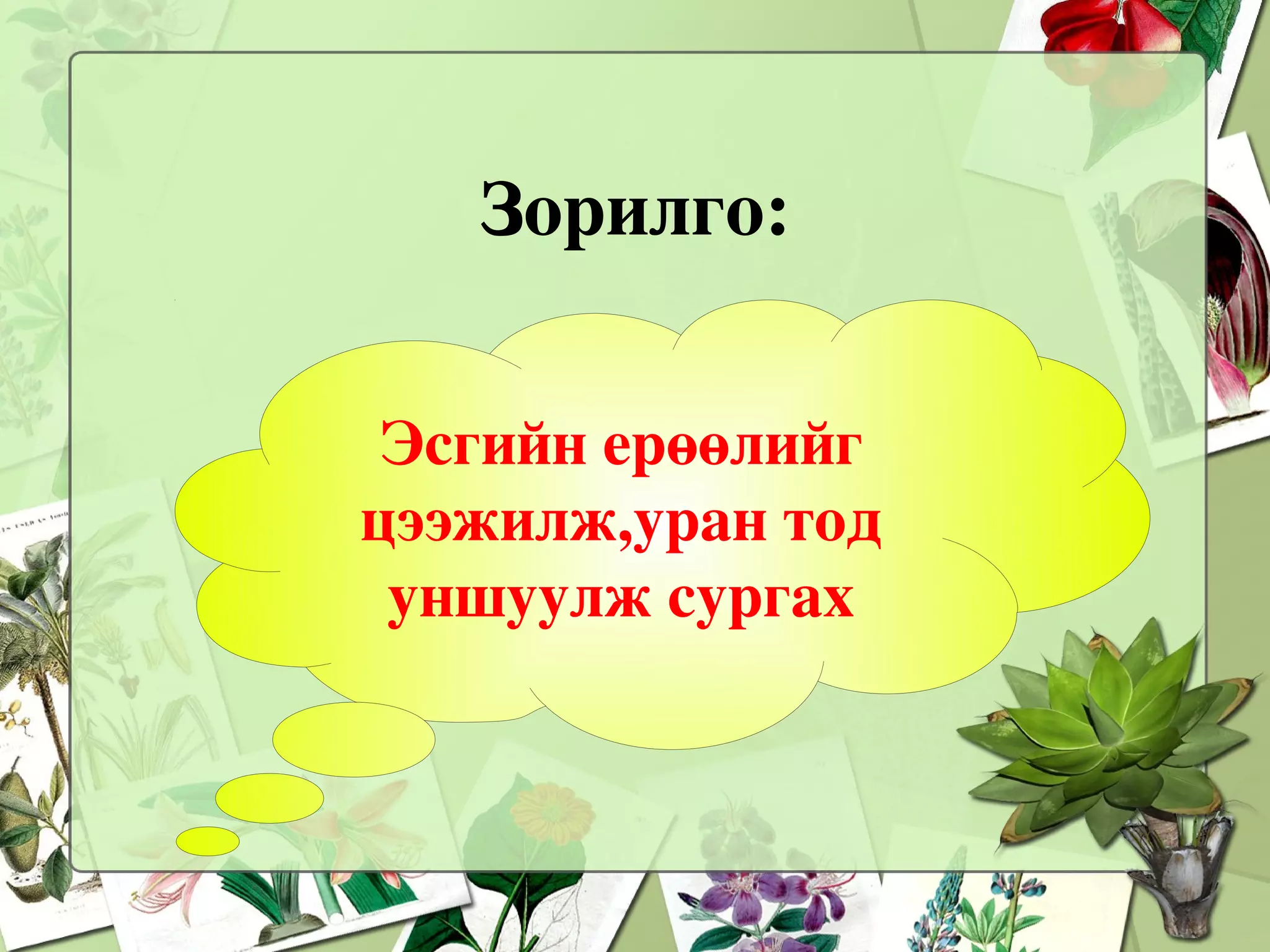 монгол хэл 3 р анги | PPT