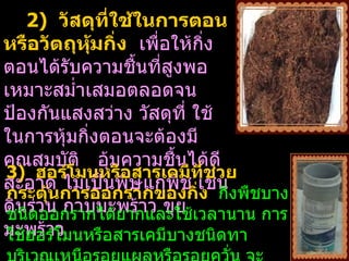 2) วัสดุทใช้ในการตอน
               ี่
หรือวัตถุหมกิ่ง เพื่อให้กิ่ง
            ุ้
ตอนได้รับความชื้นทีสูงพอ
                    ่
เหมาะสมำ่าเสมอตลอดจน
ป้องกันแสงสว่าง วัสดุที่ ใช้
ในการหุ้มกิ่งตอนจะต้องมี
คุณสมบัติ อุมความชื้นได้ดี
                  ้
3) ฮอร์โมนหรือสารเคมีทช่วยี่
สะอาด ไม่เป็นพิษแก่พืช เช่น
กระตุนการออกรากของกิ่ง กิ่งพืชบาง
      ้
ดินร่วน กาบมะพร้าว ขุย เวลานาน การ
ชนิดออกรากได้ยากและใช้
มะพร้าโมนหรือสารเคมีบางชนิดทา
ใช้ฮอร์ ว
 