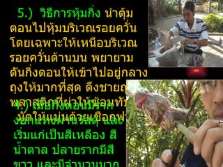 5.) วิธีการหุ้มกิ่ง นำาตุ้ม
ตอนไปหุ้มบริเวณรอยควัน      ่
โดยเฉพาะให้เหนือบริเวณ
รอยควันด้านบน พยายาม
        ่
ดันกิงตอนให้เข้าไปอยู่กลาง
      ่
ถุงให้มากทีสุด ดึงชายถุง
              ่
พลาสติกที่ผาให้ซ้อนทับกัน
                ่
 4.) เมื่อกิ่งตอนมีราก
 งอกแทงผ่าด้วยเชือกฟาง
  มัดให้แน่น นวัสดุ และ
 เริ่มแก่เป็นสีเหลือง สี
 นำ้าตาล ปลายรากมีสี
 