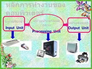 Input Unit                     Output Unit
             Processing Unit
 
