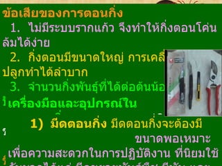 ข้อเสียของการตอนกิ่ง
   1. ไม่มีระบบรากแก้ว จึงทำาให้กิ่งตอนโค่น
ล้มได้ง่าย
   2. กิงตอนมีขนาดใหญ่ การเคลื่อนย้ายไป
          ่
ปลูกทำาได้ลำาบาก
   3. จำานวนกิ่งพันธุ์ที่ได้ต่อต้นน้อยกว่าการ
ปัเครืา งมือและอุปกรณ์ใน
   กชำ ่อ
 การตอนกิ่งตอนกิ่ง ารทียุ่งยากกว่าองมี ก
   4. การตอนกิงมีวธีก
        1) มีด
                ่   ิ         ่
                          มีดตอนกิ่งจะต้
                                         การปั
ชำา
                                ขนาดพอเหมาะ
   5. ต้องใช้แรงงานมากและการดูแลมากยิง         ่
 เพื่อความสะดวกในการปฏิบัติงาน ที่นยมใช้  ิ
ขึ้น
 