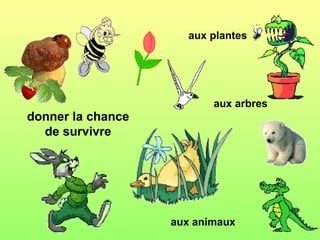 aux plantes




                          aux arbres
donner la chance
  de survivre




                   aux animaux
 