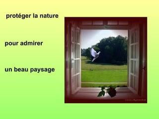 protéger la nature



pour admirer



un beau paysage
 