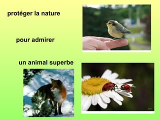 protéger la nature



  pour admirer


   un animal superbe
 