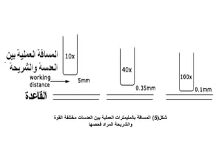 ‫شكل(5) المسافة بالمليمترات العملية بين العدسات مختلفة القوة‬
                 ‫والشريحة المراد فحصها‬
 