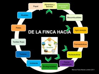 Alimentos y     Alimentación
                      Papel     Bebidas           Animal



         Muebles
                                                          Biocombustibles




   Pieles
                                                                     Agro energía




Textiles Ropa
                                                                    Farmacéuticos




       Turismo                                                Nutraceuticos


                                                     Farma
                   Ambiente
                                                   cosméticos
                              Biodegradables
                                                                 Marcos Fava Neves London 2011
 