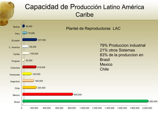 Capacidad de Producción Latino América
                                                               Caribe
    Bolivia       30,000
                                                         Plantel de Reproductoras LAC
     Peru           70,000


  Ecuador                      227,000


C. America           95,000                                                           79% Produccion industrial
                                                                                      21% otros Sistemas
    Caribe            105,000
                                                                                      83% de la produccion en
  Uruguay         32,000                                                              Brasil
                                                                                      Mexico
 Colombia                      218,000
                                                                                      Chile
Venezuela                  140,000


 Argentina                   180,000


     Chile                     220,000


   Mexico                                                     800,000


     Brasil                                                                                                                        2,000,000

              0       200,000        400,000   600,000   800,000   1,000,000   1,200,000   1,400,000   1,600,000   1,800,000   2,000,000
 