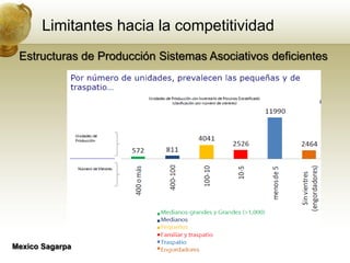 Limitantes hacia la competitividad
 Estructuras de Producción Sistemas Asociativos deficientes




Mexico Sagarpa
 