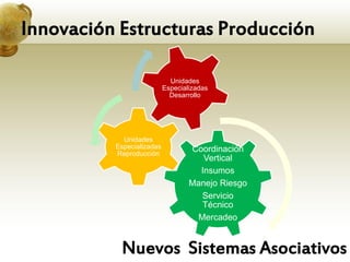 Innovación Estructuras Producción

                             Unidades
                           Especializadas
                             Desarrollo




            Unidades
          Especializadas           Coordinación
          Reproducción
                                      Vertical
                                     Insumos
                                   Manejo Riesgo
                                     Servicio
                                     Técnico
                                    Mercadeo


           Nuevos Sistemas Asociativos
 