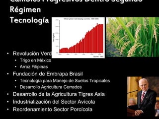 Cambios Progresivos Dentro Segundo
 Régimen
 Tecnología


• Revolución Verde
   • Trigo en México
   • Arroz Filipinas
• Fundación de Embrapa Brasil
   • Tecnología para Manejo de Suelos Tropicales
   • Desarrollo Agricultura Cerrados
• Desarrollo de la Agricultura Tigres Asia
• Industrialización del Sector Avícola
• Reordenamiento Sector Porcícola
 
