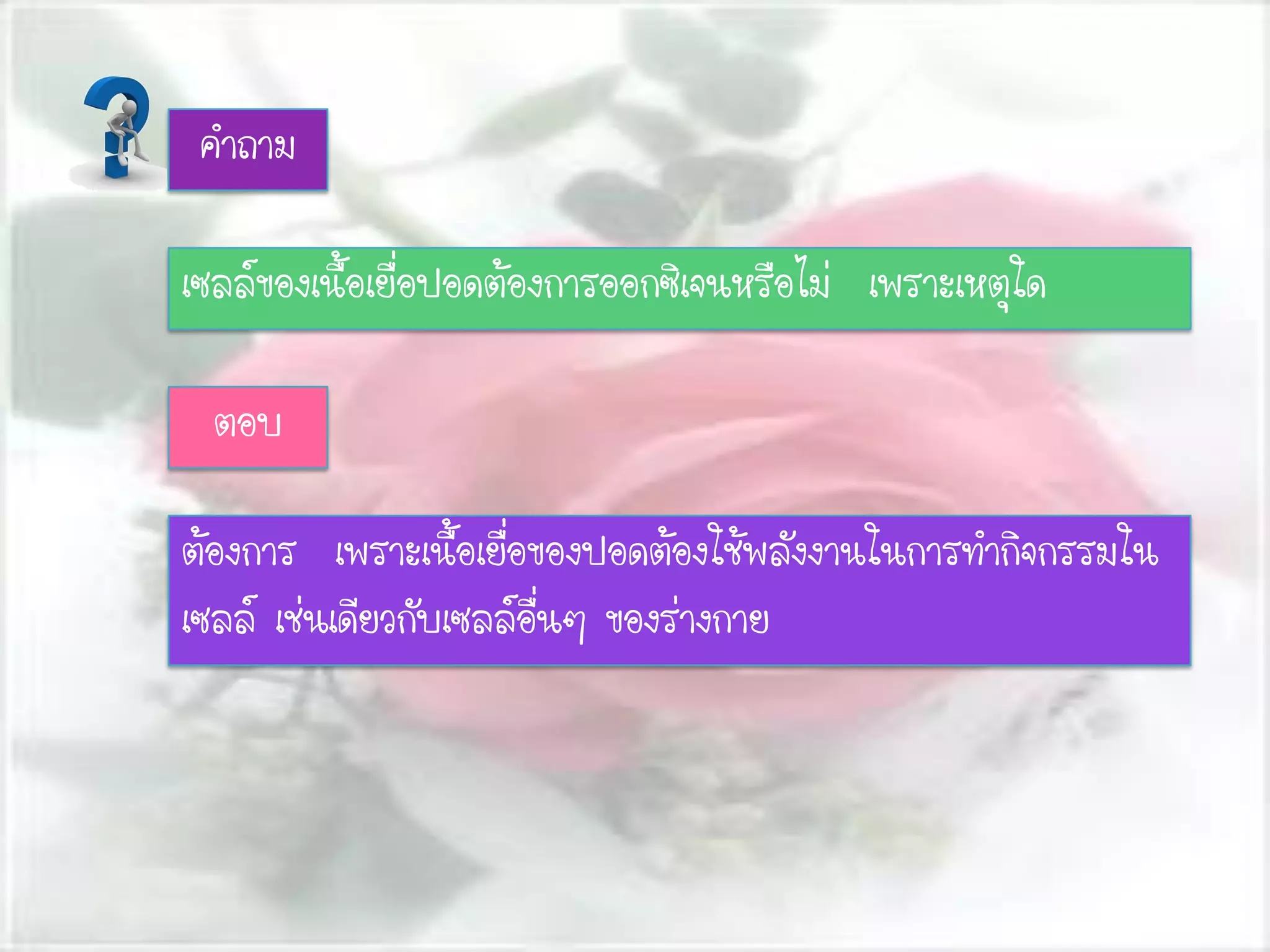 คาถาม
เซลล์ของเนื้อเยื่อปอดต้องการออกซิเจนหรือไม่ เพราะเหตุใด
ตอบ
ต้องการ เพราะเนื้อเยื่อของปอดต้องใช้พลังงานในการทากิจกรรมใน
เซลล์ เช่นเดียวกับเซลล์อื่นๆ ของร่างกาย
 