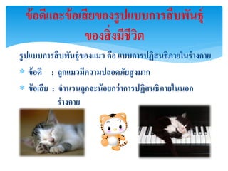 ข้ อดีและข้ อเสี ยของรูปแบบการสื บพันธ์ ุ
                ของสิ่ งมีชีวต
                             ิ
รูปแบบการสื บพันธุ์ของแมว คือ แบบการปฏิสนธิภายในร่ างกาย
 ข้ อดี : ลูกแมวมีความปลอดภัยสู งมาก
 ข้ อเสี ย : จานวนลูกจะน้ อยกว่ าการปฏิสนธิภายในนอก
              ร่ างกาย
 