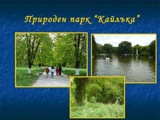 Природен парк “Кайлъка” 