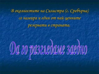 В околностите на Силистра (с. Сребърна) се намира и един от най-ценните резервати в страната.  Да го разгледаме заедно 