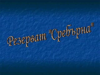 Резерват "Сребърна" 