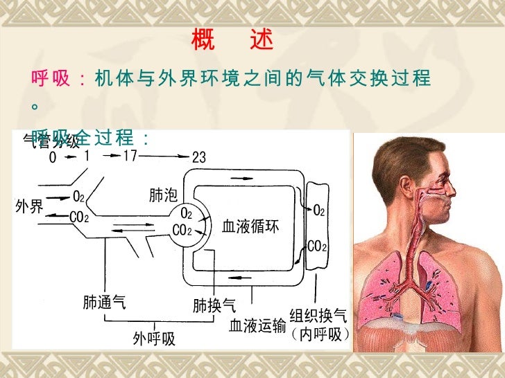 呼吸3