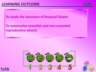 LEARNING OUTCOME
To study the structure of bisexual flower
To summarise essential and non-essential
reproductive whorls
 