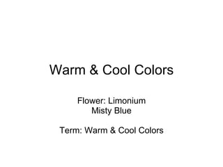 Warm & Cool Colors Flower: Limonium Misty Blue Term: Warm & Cool Colors 