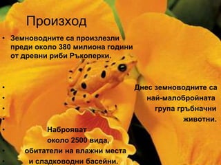Произход
• Земноводните са произлезли
  преди около 380 милиона години
  от древни риби Ръкоперки.



•                                  Днес земноводните са
•                                     най-малобройната
•                                       група гръбначни
•                                               животни.
•          Наброяват
•          около 2500 вида,
•    обитатели на влажни места
•     и сладководни басейни.
 