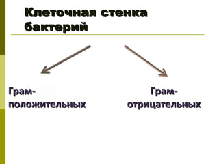 Клеточная стенка
  бактерий




Грам-               Грам-
положительных   отрицательных
 