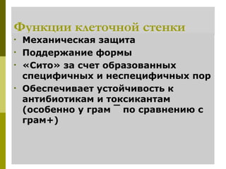 Функции клеточной стенки
•   Механическая защита
•   Поддержание формы
•   «Сито» за счет образованных
    специфичных и неспецифичных пор
•   Обеспечивает устойчивость к
    антибиотикам и токсикантам
    (особенно у грам ¯ по сравнению с
    грам+)
 