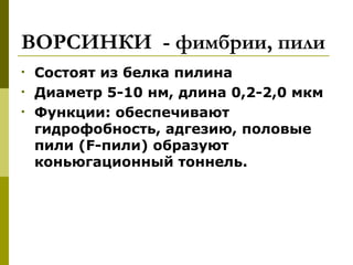 ВОРСИНКИ - фимбрии, пили
•   Состоят из белка пилина
•   Диаметр 5-10 нм, длина 0,2-2,0 мкм
•   Функции: обеспечивают
    гидрофобность, адгезию, половые
    пили (F-пили) образуют
    коньюгационный тоннель.
 