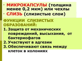 •   МИКРОКАПСУЛЫ (толщина
    менее 0,2 мкм) или чехлы
•   СЛИЗЬ (слизистые слои)
 