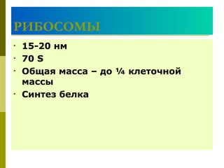 РИБОСОМЫ
•   15-20 нм
•   70 S
•   Общая масса – до ¼ клеточной
    массы
•   Синтез белка
 