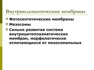 Внутриплазматические мембраны
 Фотосинтетические мембраны
 Мезосомы
 Сильно развитая система
  внутрицитоплазматических
  мембран, морфологически
  отличающихся от мезосомальных
 