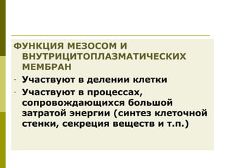 ФУНКЦИЯ МЕЗОСОМ И
  ВНУТРИЦИТОПЛАЗМАТИЧЕСКИХ
  МЕМБРАН
- Участвуют в делении клетки
- Участвуют в процессах,
  сопровождающихся большой
  затратой энергии (синтез клеточной
  стенки, секреция веществ и т.п.)
 