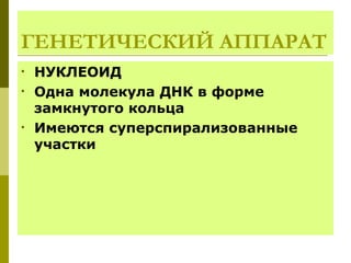 ГЕНЕТИЧЕСКИЙ АППАРАТ
•   НУКЛЕОИД
•   Одна молекула ДНК в форме
    замкнутого кольца
•   Имеются суперспирализованные
    участки
 