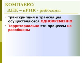 КОМПЛЕКС:
 ДНК – иРНК - рибосомы
•   транскрипция и трансляция
    осуществляются ОДНОВРЕМЕННО
•   Территориально эти процессы не
    разобщены
 