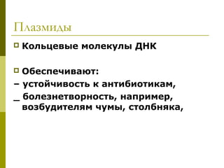 Плазмиды
   Кольцевые молекулы ДНК

 Обеспечивают:
– устойчивость к антибиотикам,
_ болезнетворность, например,
  возбудителям чумы, столбняка,
 
