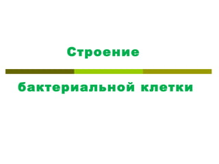 Строение

бактериальной клетки
 