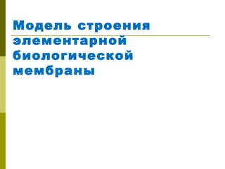Модель строения
элементарной
биологической
мембраны
 