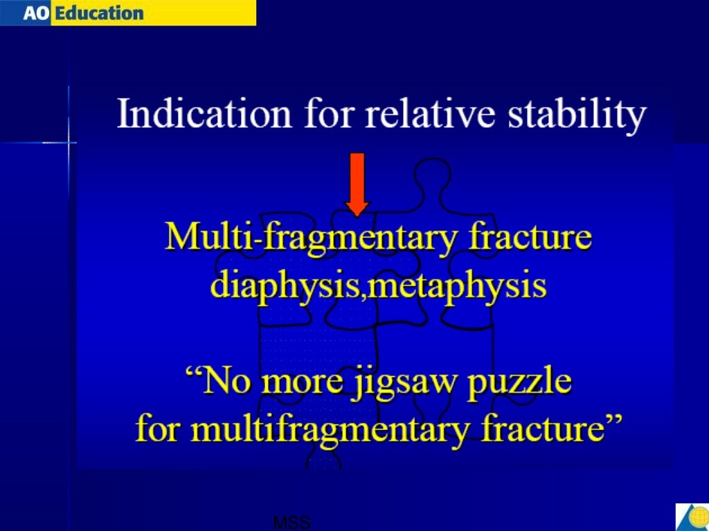 principles of fracture treatment