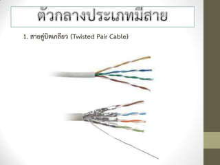 1. สายคู่บิดเกลียว (Twisted Pair Cable)
 