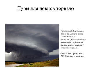 Туры для ловцов торнадо



                 Компания Silver Lining
                 Tours не единственное
                 туристическое
                 агентство, предлагающее
                 возможность обычным
                 людям увидеть торнадо
                 «своими глазами».

                 Стоимость примерно
                 230 фунтов стерлингов.
 