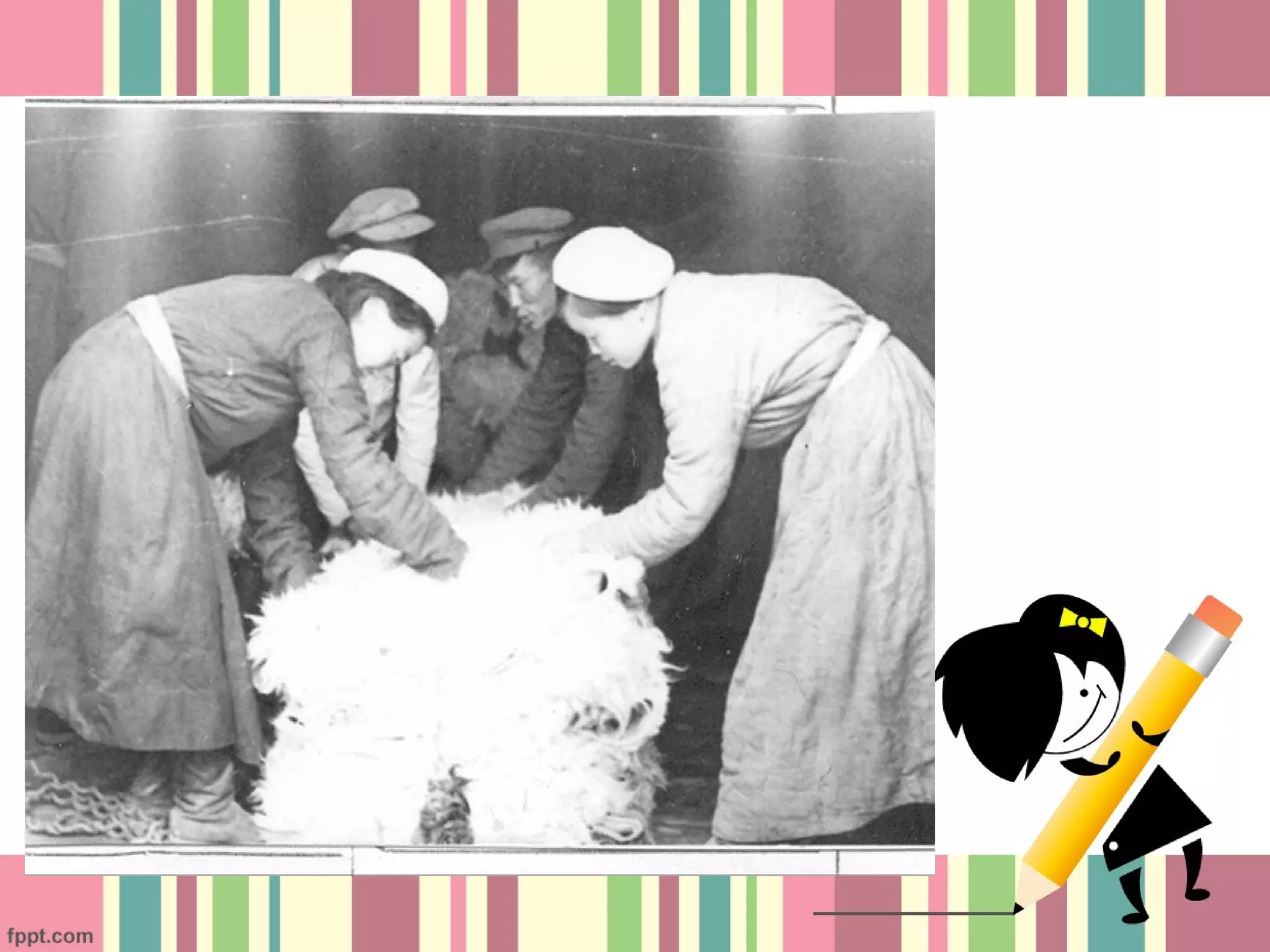 халх голын дайн 3