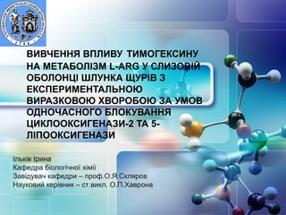 LOGO

   ВИВЧЕННЯ ВПЛИВУ ТИМОГЕКСИНУ
   НА МЕТАБОЛІЗМ L-ARG У СЛИЗОВІЙ
   ОБОЛОНЦІ ШЛУНКА ЩУРІВ З
   ЕКСПЕРИМЕНТАЛЬНОЮ
   ВИРАЗКОВОЮ ХВОРОБОЮ ЗА УМОВ
   ОДНОЧАСНОГО БЛОКУВАННЯ
   ЦИКЛООКСИГЕНАЗИ-2 ТА 5-
   ЛІПООКСИГЕНАЗИ

Ільків Ірина
Кафедра біологічної хімії
Завідувач кафедри – проф.О.Я.Скляров
Науковий керівник – ст.викл. О.П.Хаврона
 