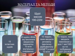 МАТЕРІАЛ ТА МЕТОДИ

                         Щурі
                        масою
                       180-220г.




             20 щурів з ВХШ,      15 тварин,     15 тварин, яким
              яку викликали      яким вводили        вводили
    15          введенням          речовину       тимогексин у
інтактних      адреналіну          Ідентичну     дозі 1 мкг/100 г
  щурів          10 мг/кг       дарбуфелону           на тлі
               внутрішньо-     (2А5ДГТ) в дозі     інгібування
               очеревинно           10 мг/кг      ЦОГ-2/5-ЛОГ
 