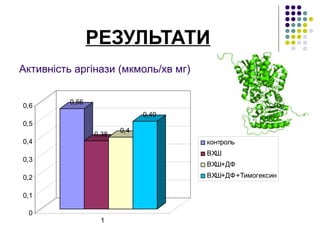 РЕЗУЛЬТАТИ
Активність аргінази (мкмоль/хв мг)

          0,56
0,6
                              0,49
0,5
                        0,4
                 0,38
0,4                                  контроль
                                     ВХШ
0,3
                                     ВХШ+ДФ
0,2                                  ВХШ+ДФ+Тимогексин

0,1

 0
                  1
 