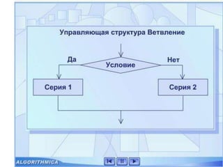3 ветвление