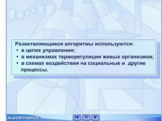 3 ветвление