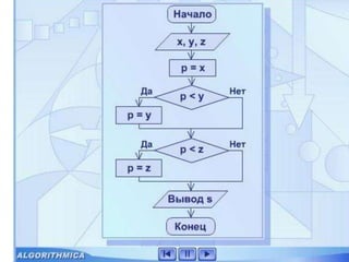 3 ветвление