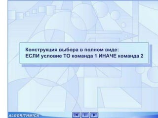 3 ветвление