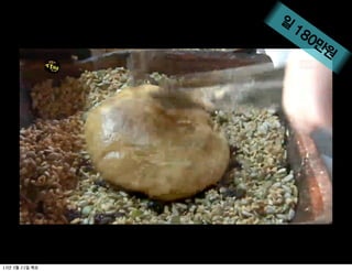 일
                  18
                    0만
                      원




13   3   21
 