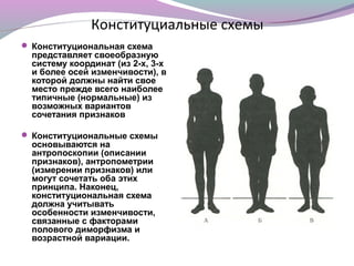 Конституциальные схемы
 Конституциональная схема
  представляет своеобразную
  систему координат (из 2-х, 3-х
  и более осей изменчивости), в
  которой должны найти свое
  место прежде всего наиболее
  типичные (нормальные) из
  возможных вариантов
  сочетания признаков

 Конституциональные схемы
  основываются на
  антропоскопии (описании
  признаков), антропометрии
  (измерении признаков) или
  могут сочетать оба этих
  принципа. Наконец,
  конституциональная схема
  должна учитывать
  особенности изменчивости,
  связанные с факторами
  полового диморфизма и
  возрастной вариации.
 