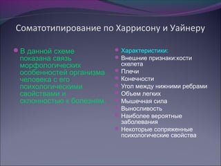 Соматотипирование по Харрисону и Уайнеру

В данной схеме             Характеристики:
 показана связь             Внешние признаки:кости
 морфологических             скелета
 особенностей организма     Плечи
 человека с его             Конечности
 психологическими           Угол между нижними ребрами
 свойствами и               Объем легких
 склонностью к болезням.    Мышечная сила
                            Выносливость
                            Наиболее вероятные
                             заболевания
                            Некоторые сопряженные
                             психологические свойства
 