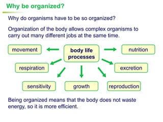 Why be organized?
Why do organisms have to be so organized?
Organization of the body allows complex organisms to
carry out many different jobs at the same time.

 movement               body life               nutrition
                       processes

    respiration                             excretion


       sensitivity        growth        reproduction

Being organized means that the body does not waste
energy, so it is more efficient.
 